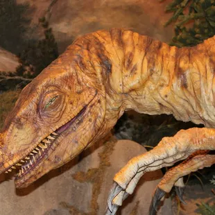 Exhibits that will make you think. - - Located at 2800 Bullittsburg Church Rd Petersburg, KY 41080