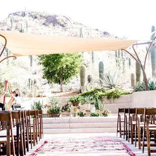 Wedding at Desert Botanical Garden
