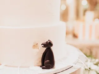 The Cocoa Bean Pastry Shop