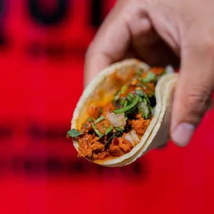 a hand holding a taco