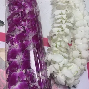 Couldn't decide so we bought both