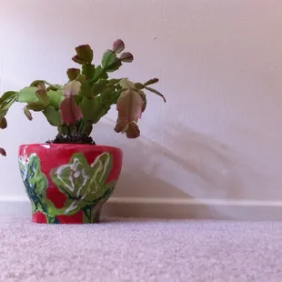 The pot we bought! :)