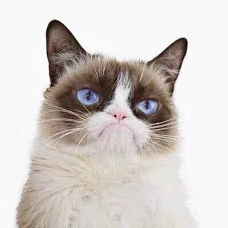 Grumpy C.