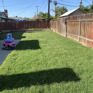 Our backyard 3 weeks after installation