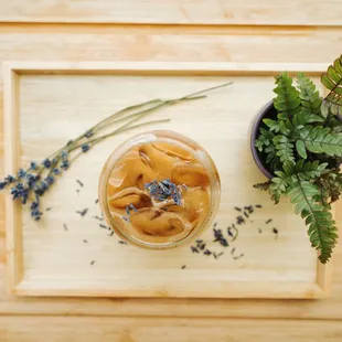 a glass of iced tea and a potted plant