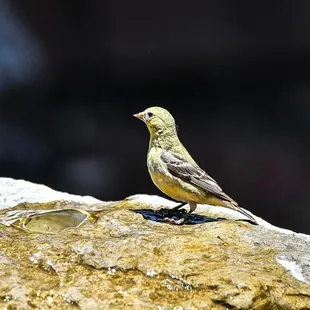 Cool drinking water on a hot day.