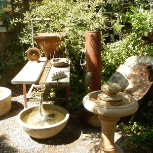 a garden with a fountain