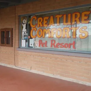 Welcome to Creature Comforts!