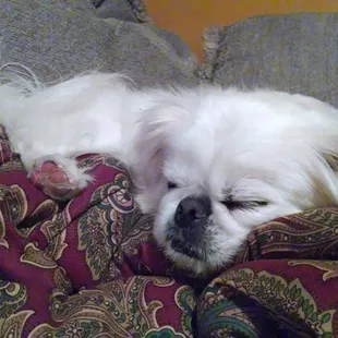 Calm before the storm