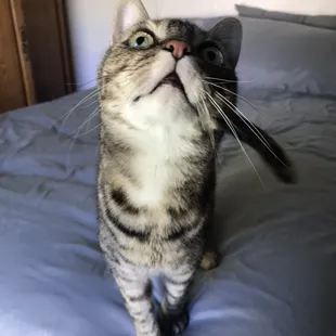 Look at that bug on the ceiling!