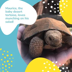 Maurice is such a cutie!