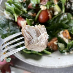 Grilled Chicken Burger