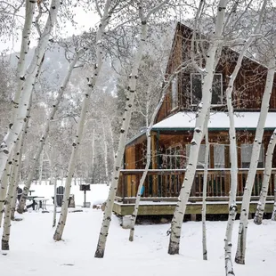 Mt. Antero Chalet through the aspen trees