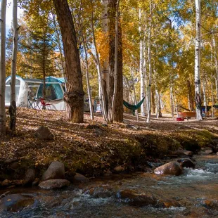 The campsites are right on the creek under the shady aspens