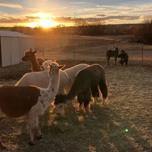 Sunrise or sunset?  :)