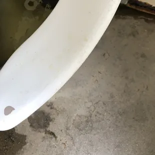 Urine on the toilet seats