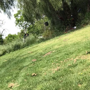 Homeless people living on the course also seen doing drugs as well.