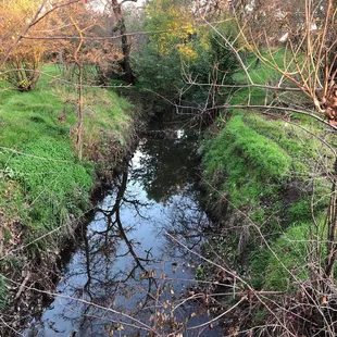 Creekside Nature Area