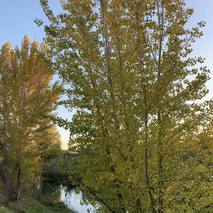 Along the trail adjacent to the park