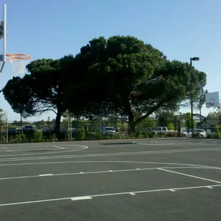 Basketball court