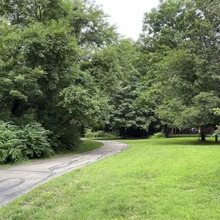 Small Open Area Along the Trail