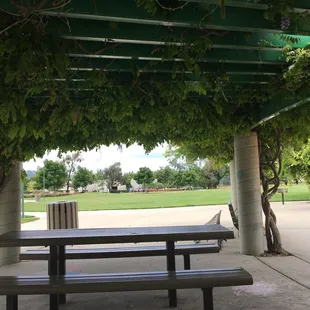 Beautiful benches and picnic tables. Bring your McDonalds and have a party!!