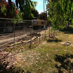 Constriction at the park