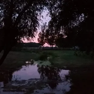 Creek at sunset.