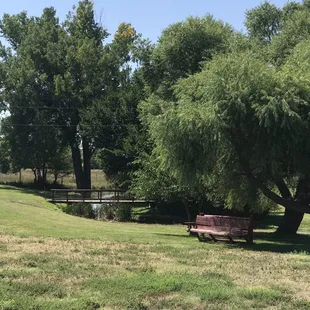 Small creek to picnic by.