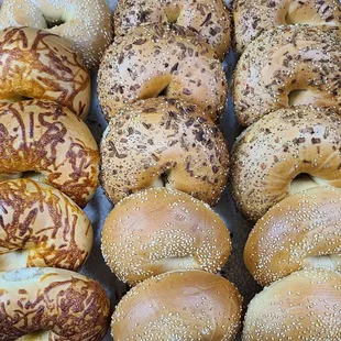 bagels, bagel, food