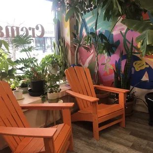 Sitting area with lovely plants