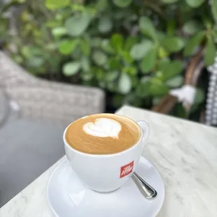  cup of cappuccino