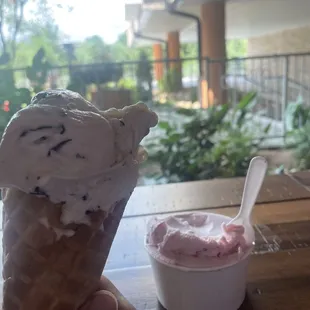 Stracciatella Cone and Lemon and Blackberry Sorbetto in a Cup