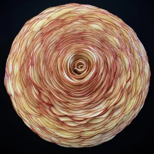 a spiral of sliced apples