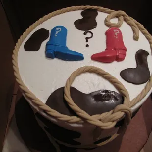 Baby Gender Reveal Party