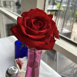 They always have pretty flowers on their table. Makes me smile!