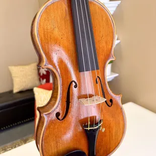 Our popular violins among students and professional musicians
