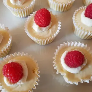 Mini vanilla cheesecake