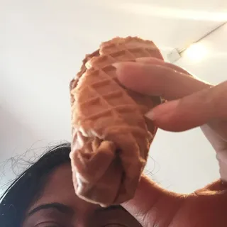 Homemade Waffle Cones
