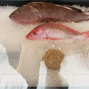 sashimi, sushi, sushi and sashimi, food