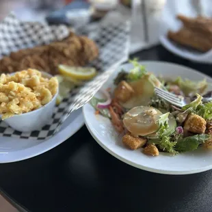 shellfish, oysters and mussels, oysters, mussels, food