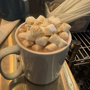 Hot chocolate with marshmallows