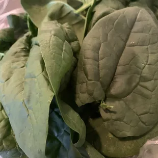 Fresh bag of Spinach