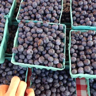 Blueberries on salads, on ice cream, in cobbler, hmmmm...