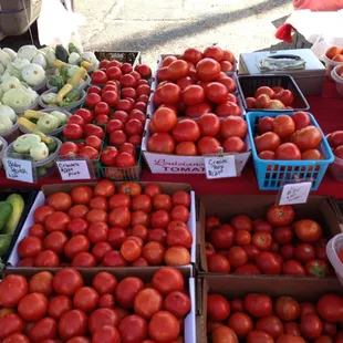 Creoles, yummmmmmm! My favorite tomatoes.