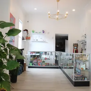 From CBD tinctures, topicals, and hemp products to vape essentials, we are fully stocked.
