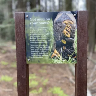 Info about weed seeds getting stuck to the bottom of your shoe.