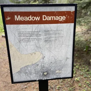Make sure you don't walk too much onto the meadow.