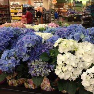 I love this grocery! Lots of freshness!