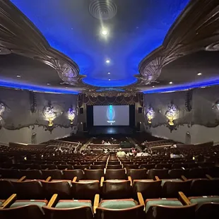 seating and projection screen